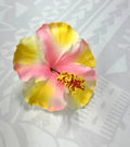 Hibiscus - 13cm image 0