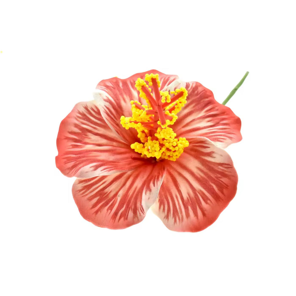 9cm Hibiscus