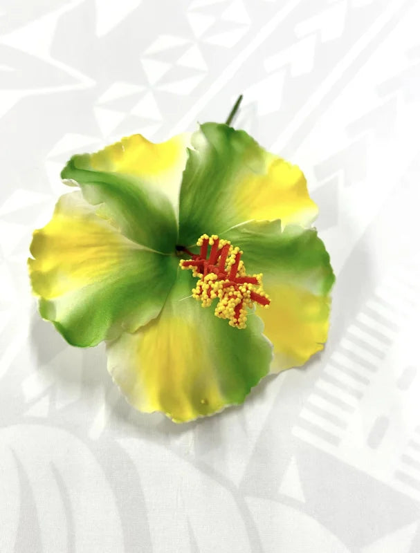 Hibiscus - 13cm image 0