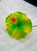 Hibiscus - 13cm image 0