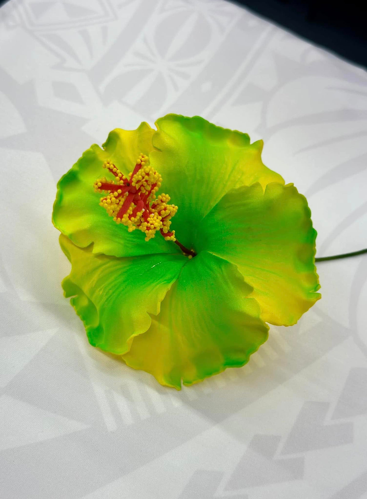 Hibiscus - 13cm image 0