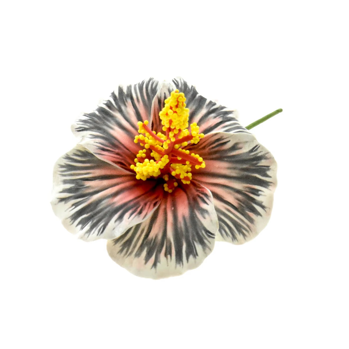 9cm Hibiscus