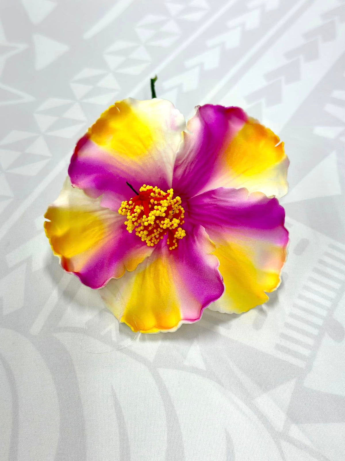 Hibiscus - 13cm image 0