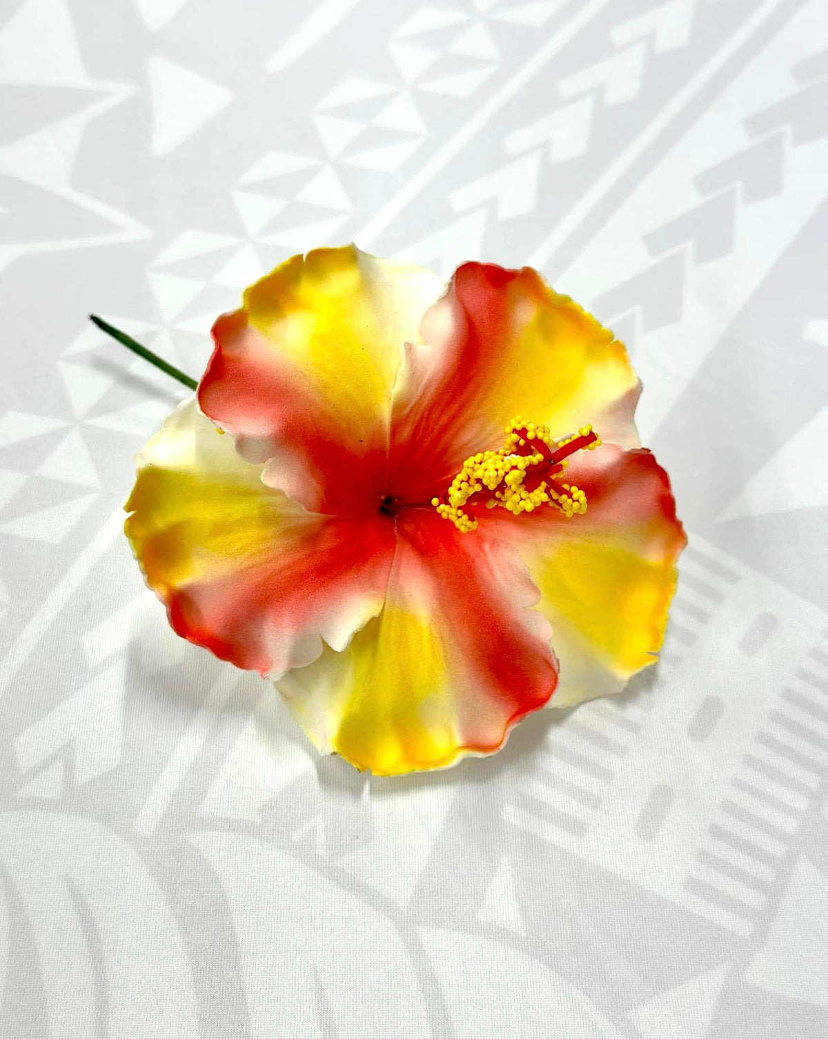 Hibiscus - 13cm image 0