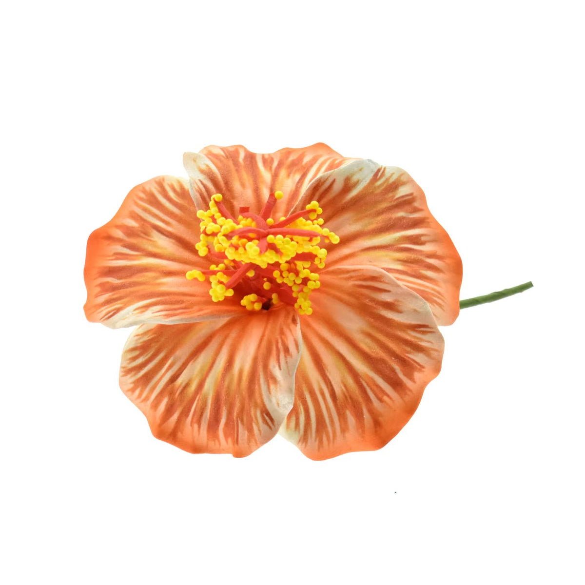 9cm Hibiscus