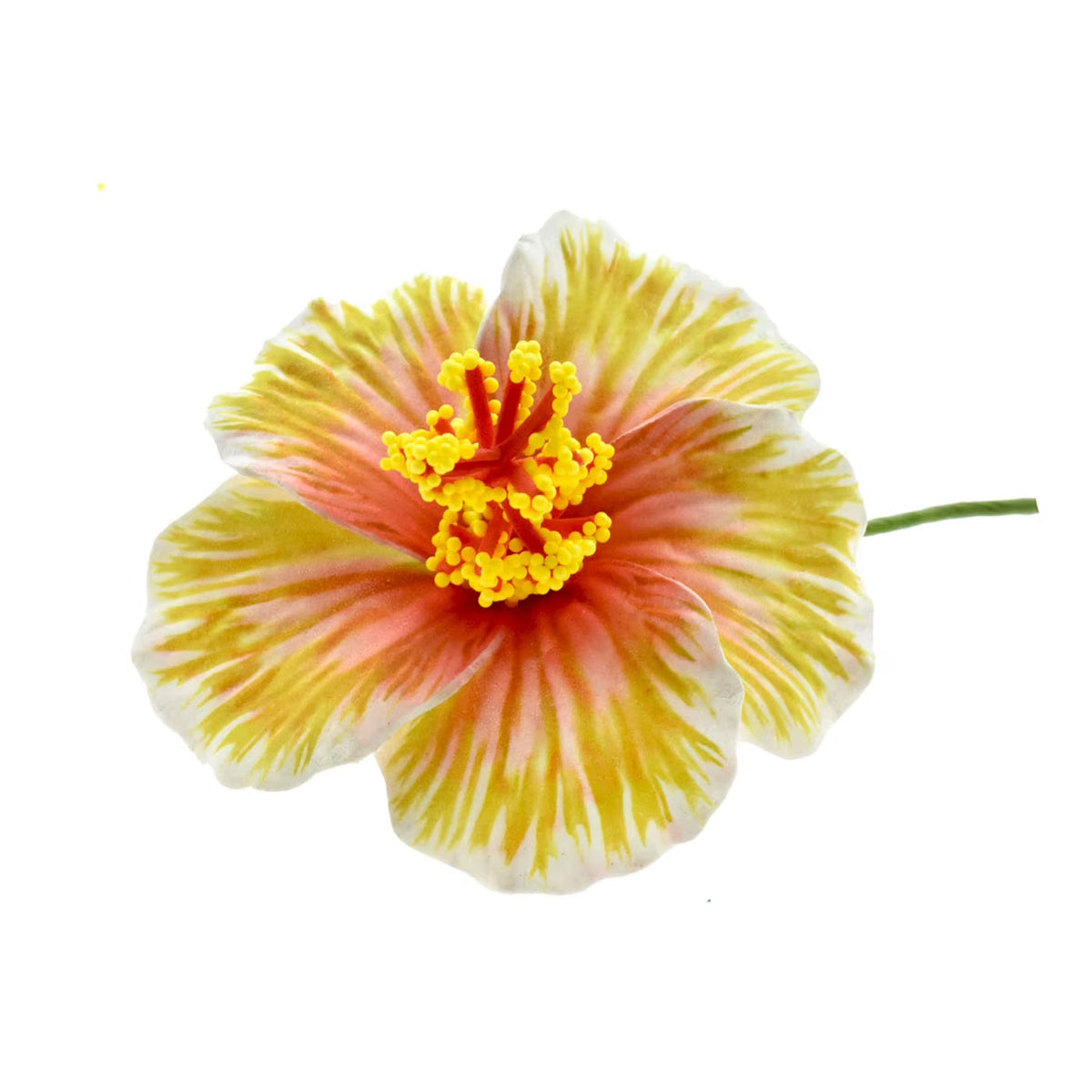 9cm Hibiscus