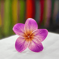 Island Flower - 9cm image 0