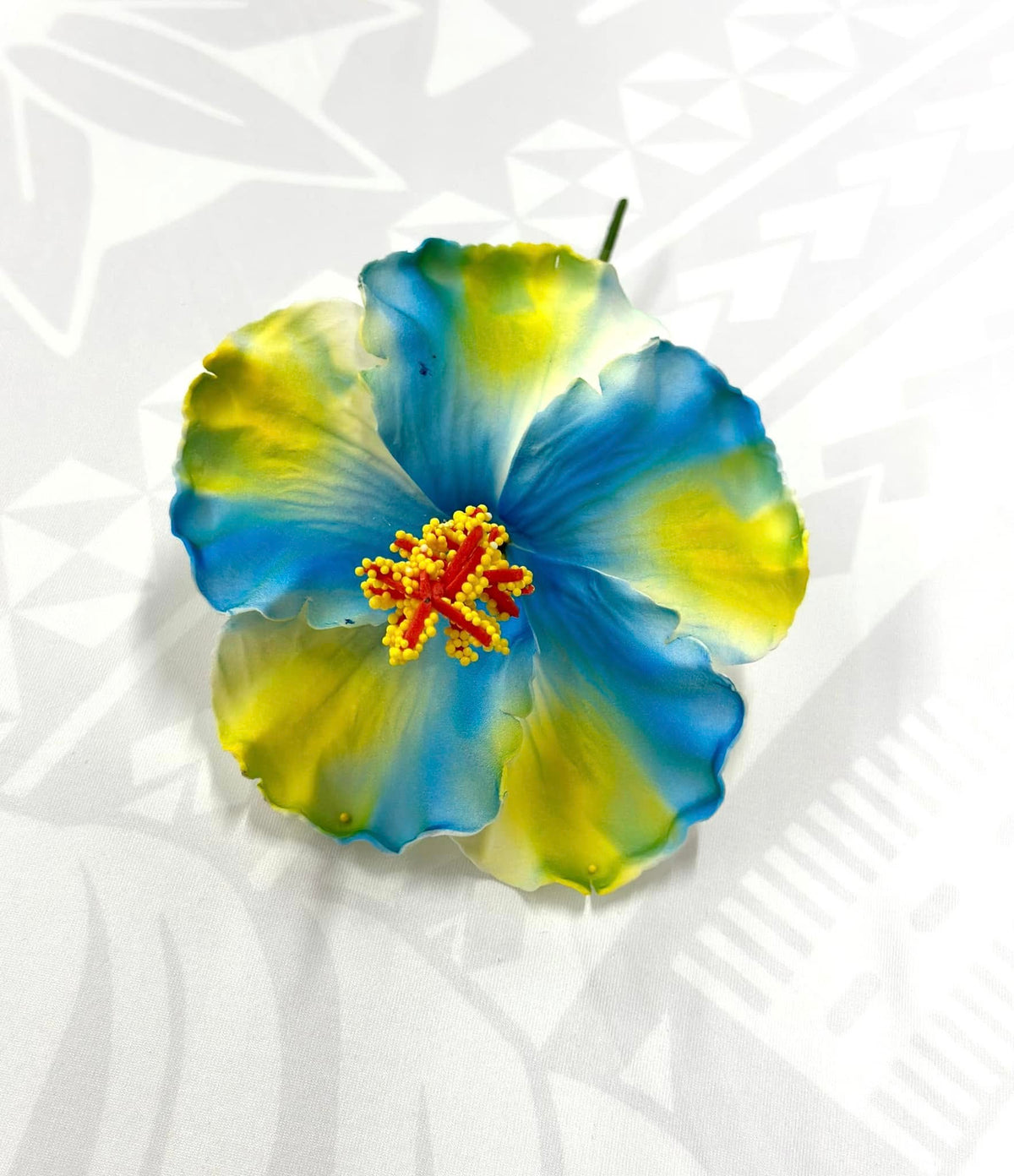 Hibiscus - 13cm image 0