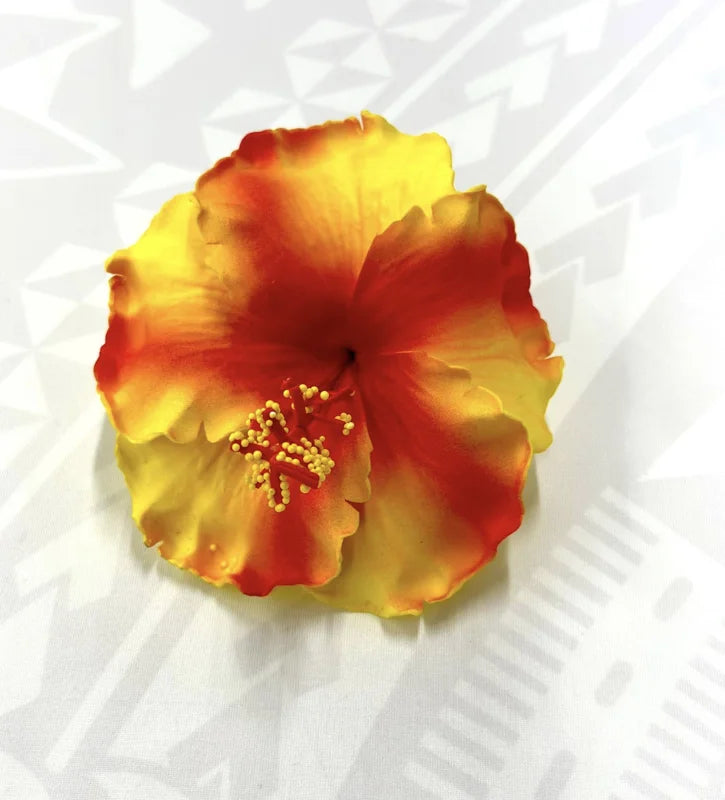 Hibiscus - 13cm image 0